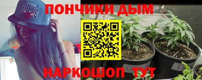сатива Обнинск