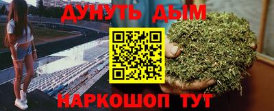 сатива Обнинск