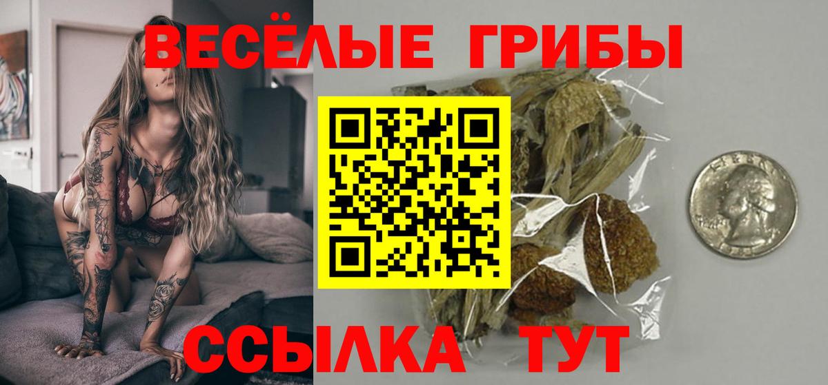 Сосновый Бор  купить наркотики сайты  Вход с VPN  Галлюциногенные грибы Psilocybe 